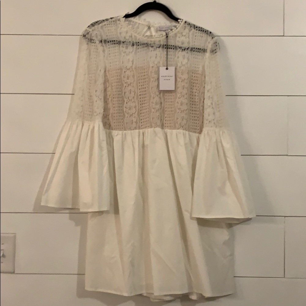 Endless Rose laced Dress